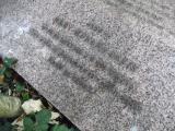 image of grave number 429255